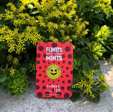 flint mints review|We Asked 10 People to Try Flintts Mouthwatering Mints